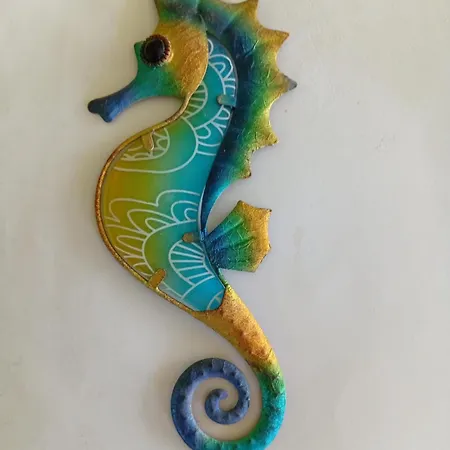 Hippocampe *